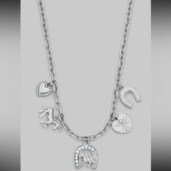 Girly Jewelry - 710. Western charm chain necklace silver